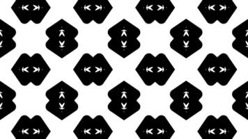 Abstract kaleidoscope black and white oriental ornaments animation background. monochrome flower pattern. video