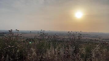 The scorching sun is setting video