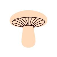 Mushroom with beige cap and gill lines underneath vector