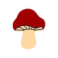 Red forest mushroom with wide wavy cap and thick stem vector