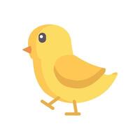 Little Chicken. Flat Icon. For Web and Apps. Stock Illustration vector