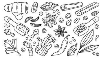 Hand Drawn Indian Spice Collection in Black and White vector