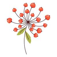 Delicate Berry Flower with Simple Brush Line Decorations. Colorful plant with cute line sketches of branches isolated on white background. Nature herb perfect for invitations, cards, posters, holidays vector