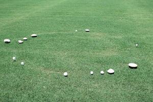Fairy ring of toadstool mushrooms photo