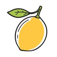 Lemon icon in doodle style. Simple hand drawn fresh fruit design element vector