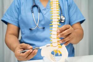 lumbar vertebra bone skeleton and nerve model for treatment in the orthopedic department. photo
