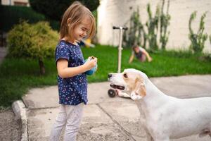 Joyful moments between a child and a friendly dog in the garden photo