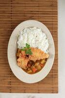 Top View Tonkatsu Curry with Rice photo