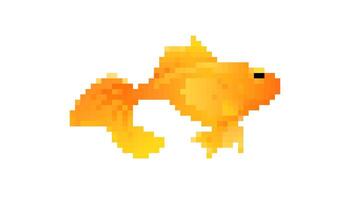 Mosaic pixel art goldfish icon in bright retro 8 bit style design for creative projects vector