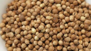 Natural spice dried coriander seeds close up. Seasoning for cooking and marinades. Coriander seeds, coriander peas, aromatic spice video