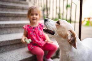 Joyful moments between a child and her playful dog on the stairs photo