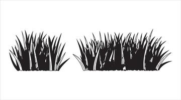 Lush green grass. Isolated elements in a field. Hand-drawn herbs for spring and summer, sketch style of park lawns and meadows, featuring cartoonish flat botanical elements. vector