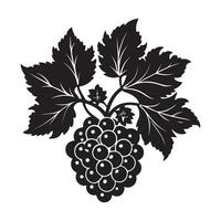 Elegant Black and White Silhouette of a Blackberry Bunch on a Vine with Lush Leaves, a Striking Botanical Illustration vector
