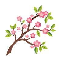 Serene Pink Blossom Branch with Delicate Flowers in Springtime, Isolated on White Background - Professional digital artwork with vibrant colors and detailed composition vector