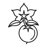 Elegant Line Drawing of a Blooming Tomato Plant with a Single Ripe Fruit, Representing Freshness and Growth vector