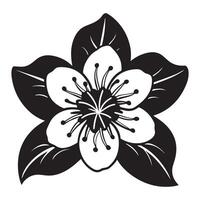 Elegant Black and White Blossom A Detailed Close-Up of a Striking Flower in Full Bloom Against a Pure White Background vector