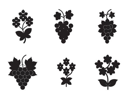Six Elegant Black Silhouette Botanical Illustrations of Grapes and Flowers, Perfect for Vintage Designs and Rustic Decor