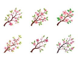 Six Delicate Pink Cherry Blossom Branches Isolated on White Background, Spring Floral Design, Peaceful and Serene Mood vector