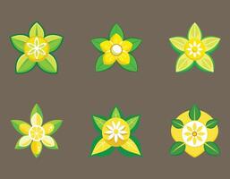 Six Delightful Lemon Blossom Illustrations Vibrant Yellow Flowers and Green Leaves on a Moody Brown Background vector