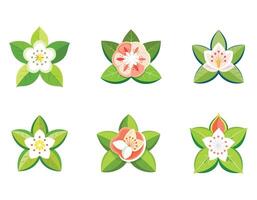 a guava flower icon with white petals and a cluster vector