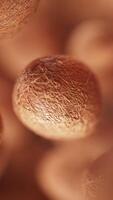 Animation of a group of coconuts. Many coconuts slowly rotate in the background in space. Vertical composition. Defocus video