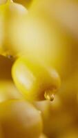 Looping animation of a group of lemons. Many lemons slowly rotate in the background in space. Vertical composition. Defocus. Close-up. Cycle. video