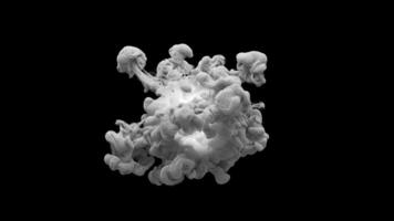 3D animation of a fantastic white explosion. The particle cloud after the explosion spreads smoothly across the frame. File contains Alpha Channel. video