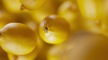 Animation of a group of lemons. Many lemons slowly rotate in the background in space. Horizontal composition. Defocus. video