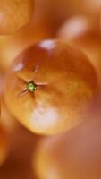 Animation of a group of mandarin. Many tangerines slowly rotate in the background in space. Vertical composition. Close-up. video