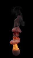 Animation of fire burning. Flame with black smoke appears on a black background and burns until the end of the . Vertical composition. Alpha Channel. video