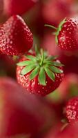 Animation of a group of strawberry. Many strawberry slowly rotate in the background in space. Vertical composition. Close-up. video