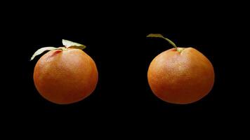Cyclic rotation of two types of tangerines around their axis. Looping motion. Close-up. Alpha Channel. video