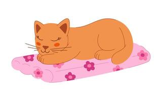 Cute cat sleeping on a floating mattress. Color clip art for your projects. vector