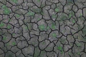 cracked soak ground with green grass for pattern and background. photo