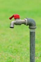 Single faucet on blur green background photo
