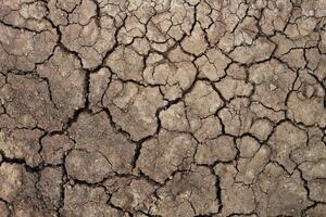 Dry soil for pattern and background photo
