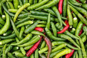 green and red chili for pattern and background photo