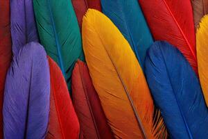 Colorful feathers creating a vibrant and textured background photo