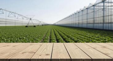 Table top in greenhouse with crops and green field photo