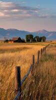 Summer Meadow and Mountain Backdrop photo