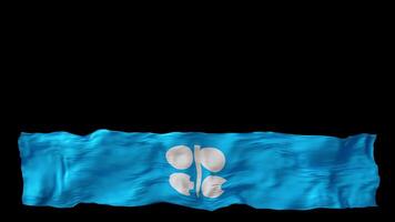 stiliserade flagga av opec vinka i de vind, på transparent bakgrund, med alfa kanal. sidfot, 3d animation. skära ut bred, panorama- element. organisation av de petroleum exportera länder. video