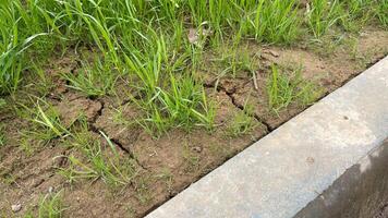 A grassy area with a crack in the ground photo