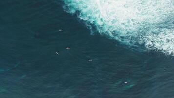 Above view of surfers in ocean during surfing video