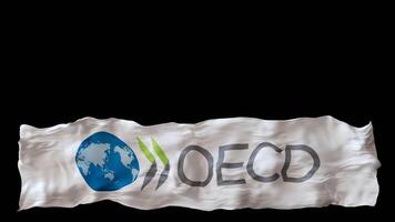 Stylized flag of OECD waving in wind, isolated on transparent background, with alpha channel. Footer, 3D animation. Cut out wide element. Organization for Economic Co-operation and Development. video