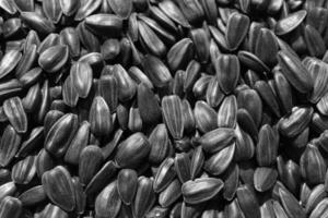Black sunflower seeds. For texture or background photo