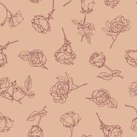 Seamless pattern of hand drawn roses on biscuit beige background in botanical graphic style vector