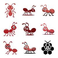 Collection of cute cartoon ants and a bee on honeycomb vector