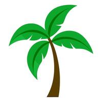 banana tree on white background vector