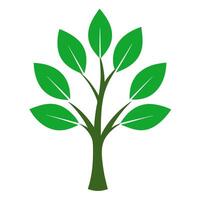tree having green leaves on white background vector