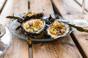Fresh oysters in the farm in Zeeland photo